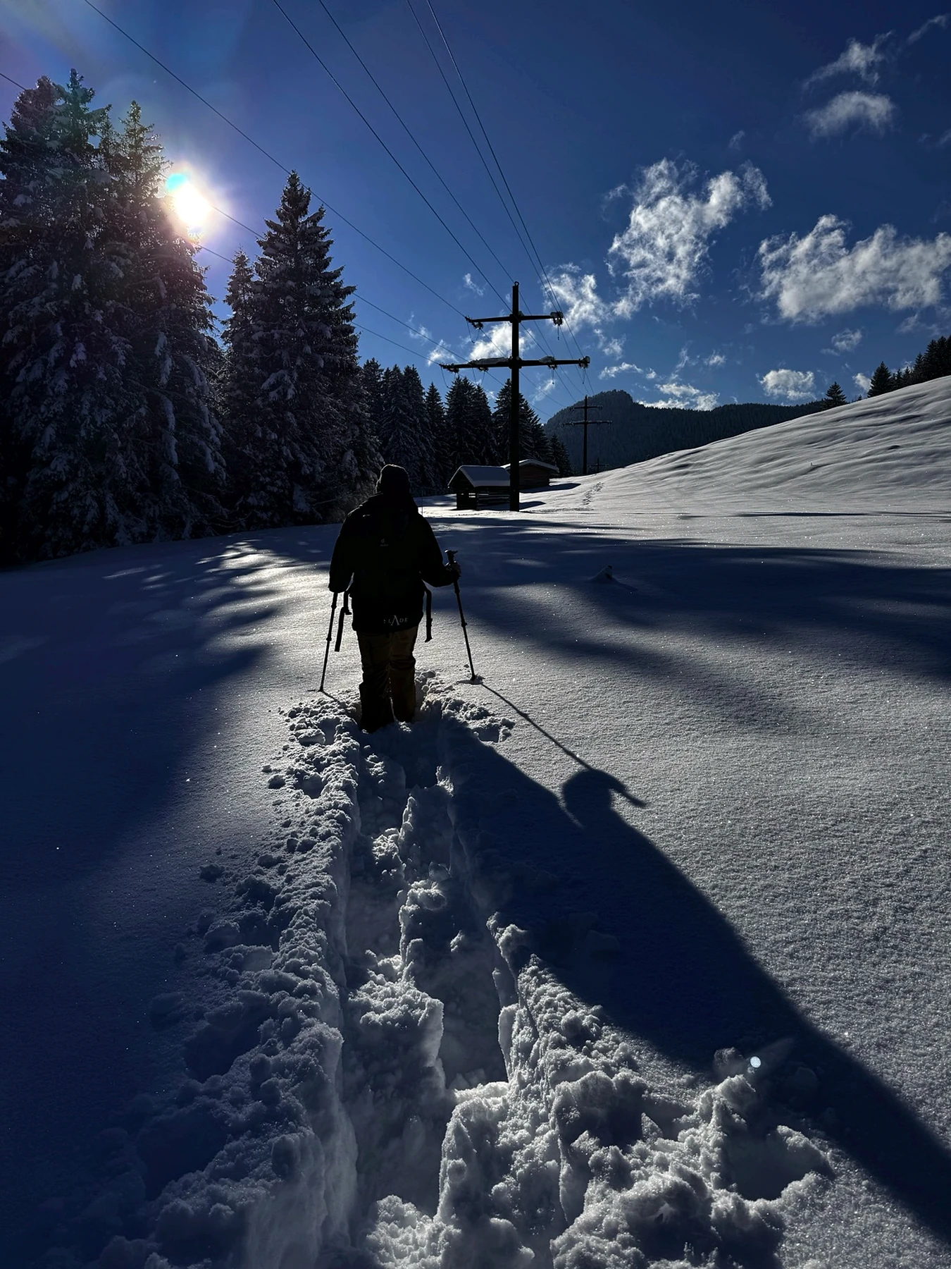 Schneeschuhwandern im verschneiten Allgäu