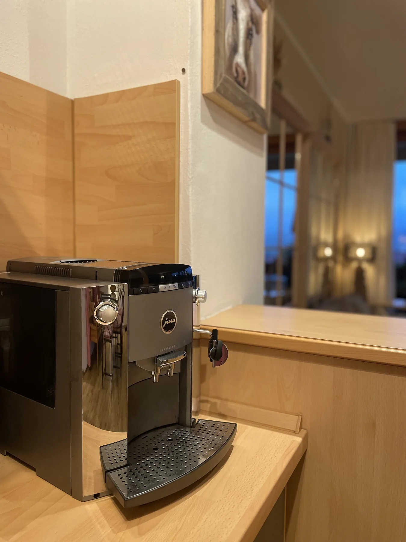 Jura Kaffeemaschine Alpenjuwel 1